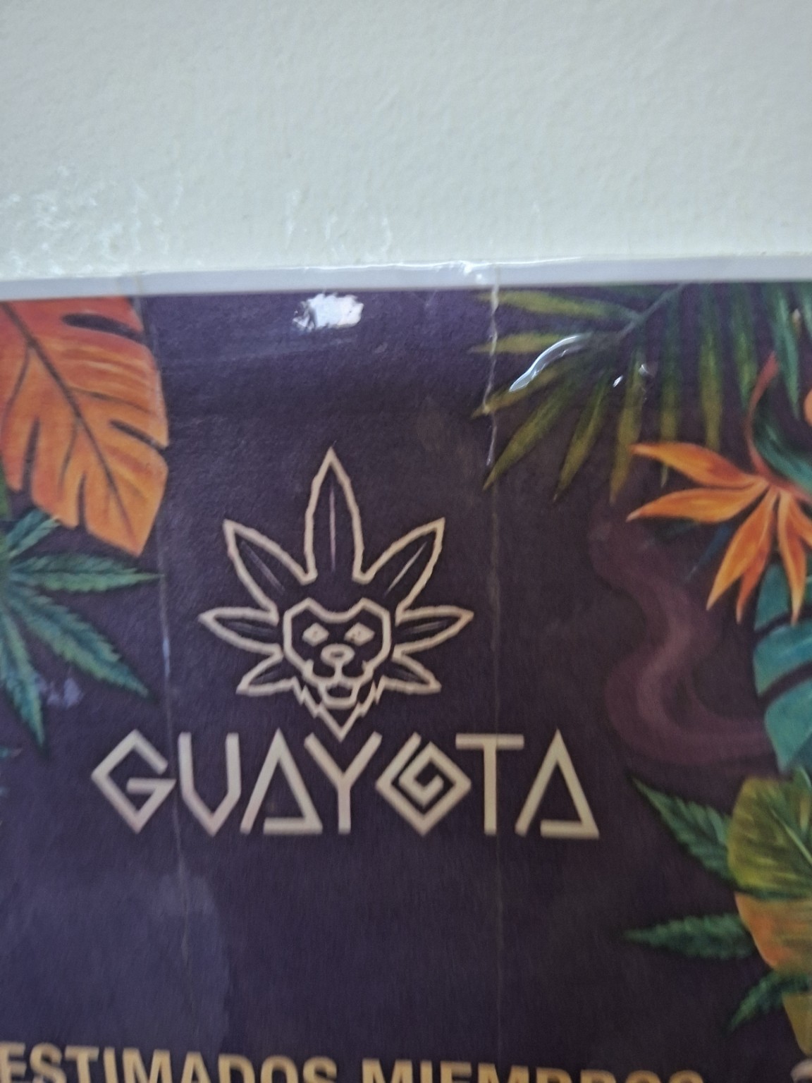 Logo original Guayota